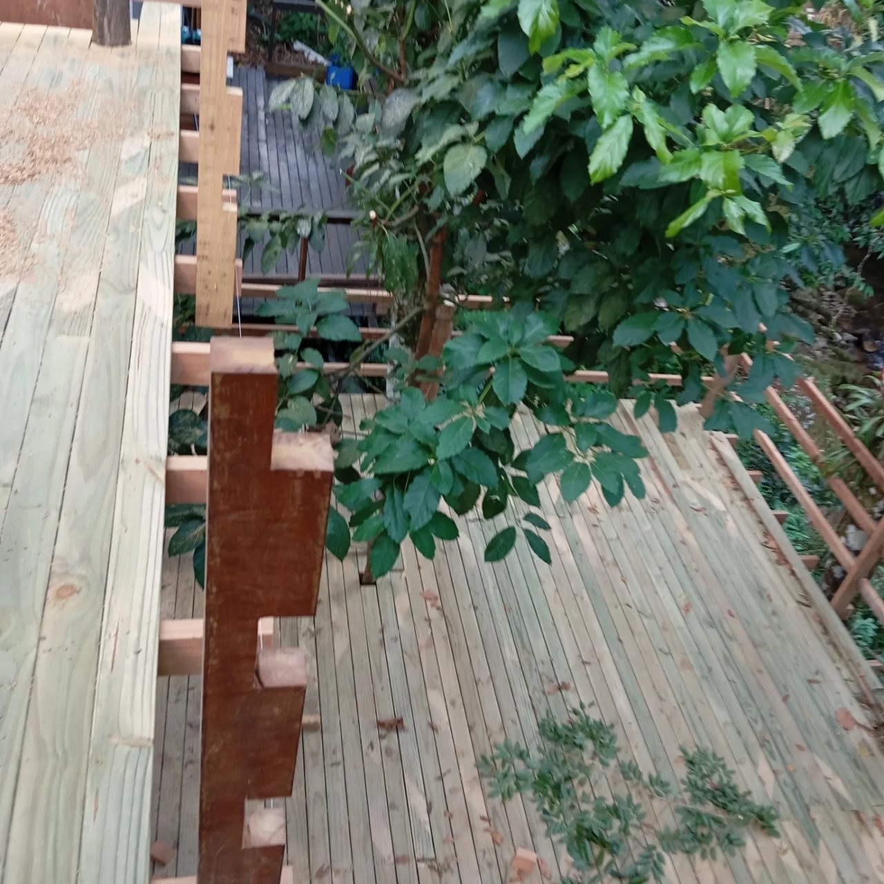Detalhe da execução do deck de madeira integrado ao terreno